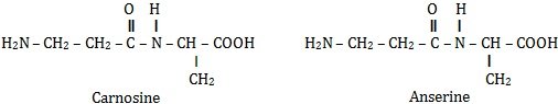 carnosine and anserine